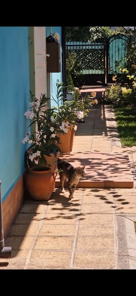 Moderní samostatný dům s panoramatem na moře a vyhřívaným bazénem v Chervenka, Chernomorets