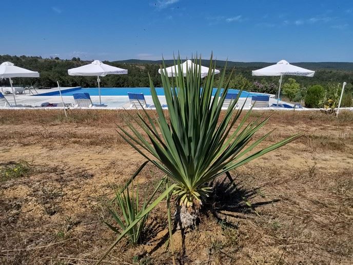 Prostorný jednopodlažní dům s panoramatickým výhledem v eko-komplexu na pohoří Balkán